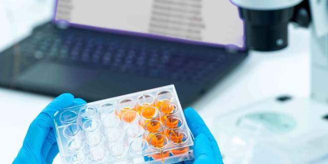 Clinical Trial Feasibility